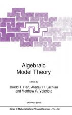 Algebraic Model Theory