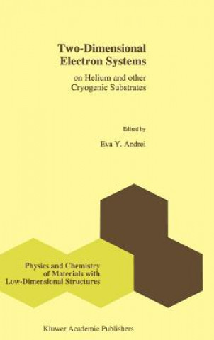 Two-Dimensional Electron Systems