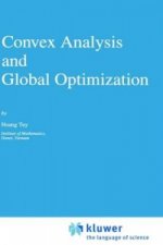 Convex Analysis and Global Optimization