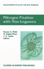 Nitrogen Fixation with Non-Legumes