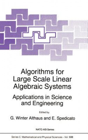 Algorithms for Large Scale Linear Algebraic Systems:
