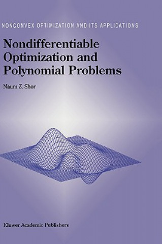 Nondifferentiable Optimization and Polynomial Problems