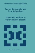 Harmonic Analysis in Hypercomplex Systems