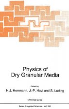 Physics of Dry Granular Media