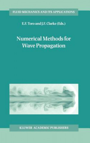 Numerical Methods for Wave Propagation