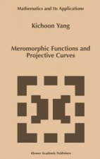 Meromorphic Functions and Projective Curves