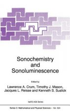 Sonochemistry and Sonoluminescence