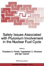 Safety Issues Associated with Plutonium Involvement in the Nuclear Fuel Cycle
