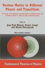 Nuclear Matter in Different Phases and Transitions