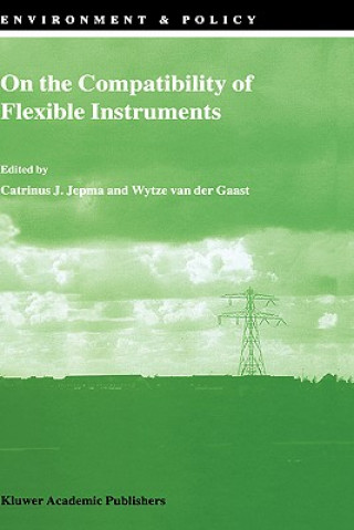 On the Compatibility of Flexible Instruments