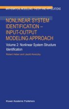 Nonlinear System Identification - Input-Output Modeling Approach