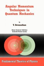 Angular Momentum Techniques in Quantum Mechanics