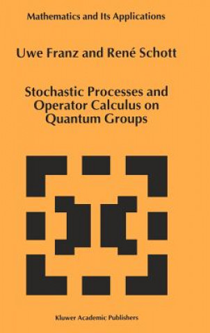 Stochastic Processes and Operator Calculus on Quantum Groups