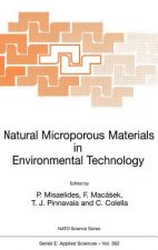 Natural Microporous Materials in Environmental Technology