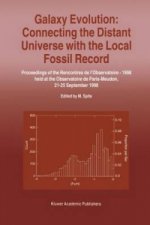 Galaxy Evolution: Connecting the Distant Universe with the Local Fossil Record