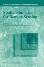 Spatial Statistics for Remote Sensing