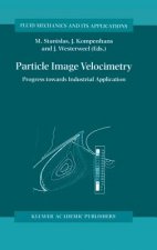 Particle Image Velocimetry