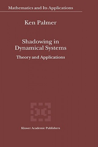 Shadowing in Dynamical Systems