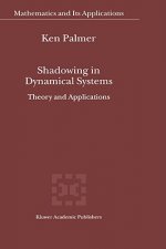 Shadowing in Dynamical Systems