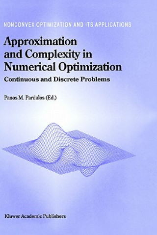 Approximation and Complexity in Numerical Optimization