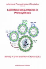 Light-Harvesting Antennas in Photosynthesis