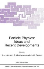 Particle Physics: Ideas and Recent Developments