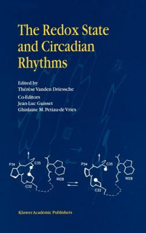 Redox State and Circadian Rhythms