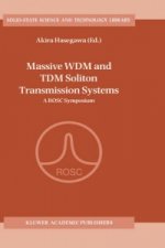 Massive WDM and TDM Soliton Transmission Systems