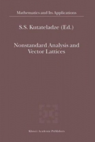 Nonstandard Analysis and Vector Lattices