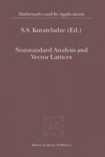 Nonstandard Analysis and Vector Lattices