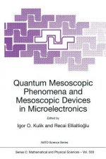 Quantum Mesoscopic Phenomena and Mesoscopic Devices in Microelectronics