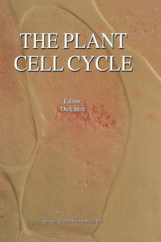 Plant Cell Cycle