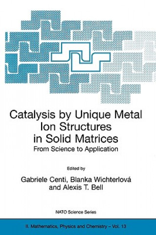 Catalysis by Unique Metal Ion Structures in Solid Matrices