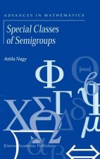 Special Classes of Semigroups