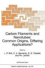 Carbon Filaments and Nanotubes: Common Origins, Differing Applications?