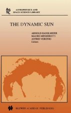 Dynamic Sun