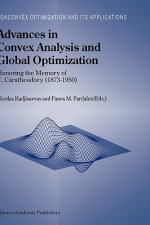 Advances in Convex Analysis and Global Optimization