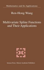 Multivariate Spline Functions and Their Applications