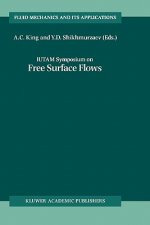 IUTAM Symposium on Free Surface Flows