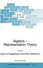 Algebra - Representation Theory
