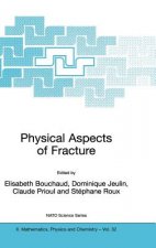 Physical Aspects of Fracture