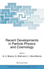 Recent Developments in Particle Physics and Cosmology