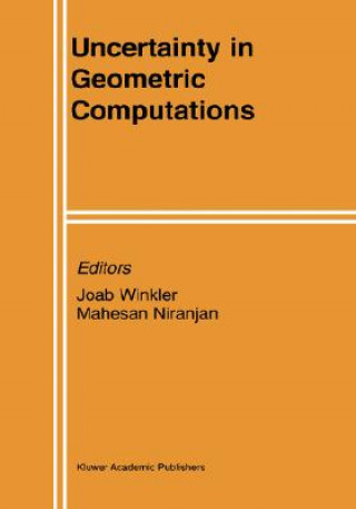 Uncertainty in Geometric Computations