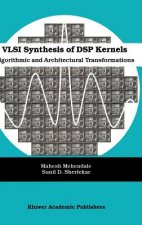 VLSI Synthesis of DSP Kernels