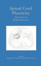 Spinal Cord Plasticity