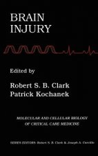 Brain Injury