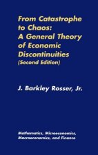 From Catastrophe to Chaos: A General Theory of Economic Discontinuities