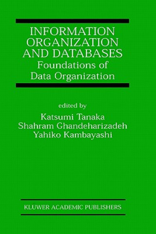 Information Organization and Databases