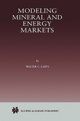 Modeling Mineral and Energy Markets