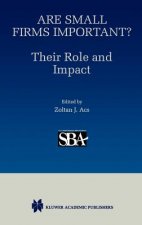 Are Small Firms Important? Their Role and Impact